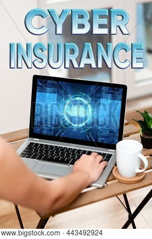 Writing Displaying Text Cyber Insurance. Business Overview Exclusive Plan To Protect The Company Fro