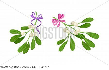 Snowberry Branches With Ripe Berries Decorated With Purple And Pink Bows Set. Small Twigs Of Shrub W