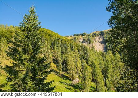 Monte Morgenleit Near Sauris Di Sopra, Udine Province, Friuli-venezia Giulia, North East Italy. View