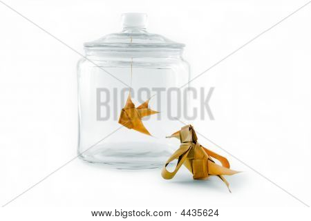 ガラスの瓶で魚を見て鳥