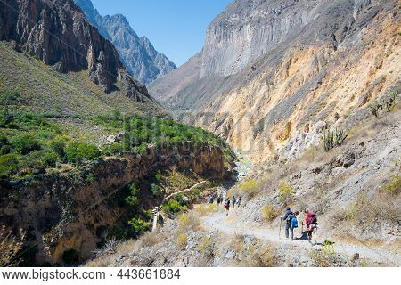Tourists Are Trekking In Colca Canyon Valley Along Colca River - Arequipa, Peru