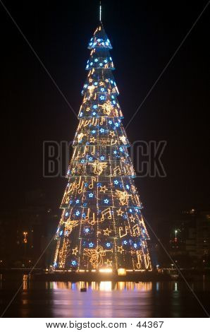 Lagoa's Christmas Tree
