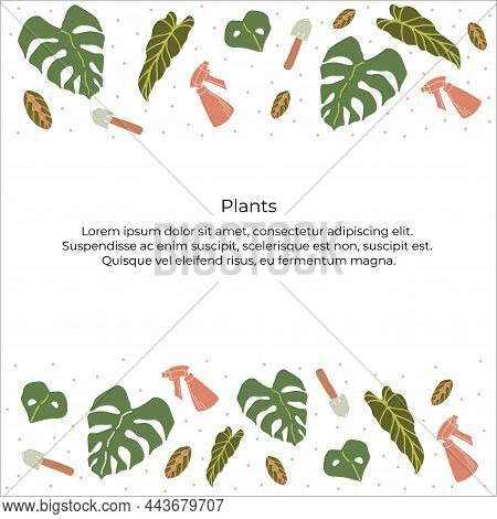Hand Drawn Illustration Of Houseplants Such As Alokasia, Monstera And Maranta, As Well As With Shove