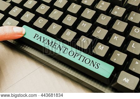 Text Sign Showing Payment Options. Word Written On The Way Of Chosen To Compensate The Seller Of A S