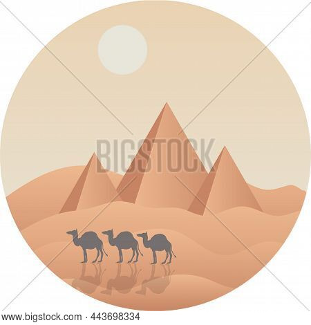 Hot Landscape Of Camels In The Desert Against The Background Of The Pyramids