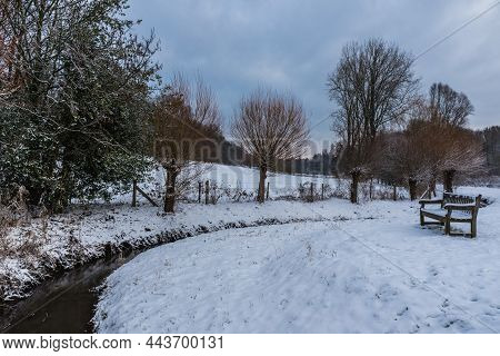 Curling Creek In The Snow With Trees And A Wooden Bench, Brussels, Belgium