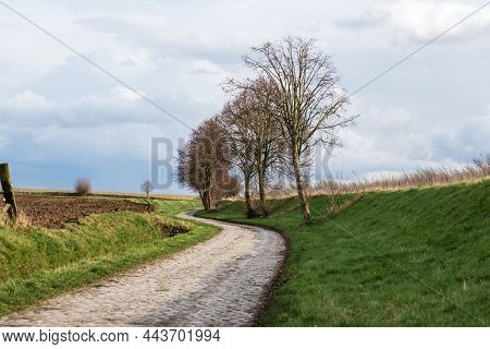 Paved Road Through A Rural Scenery At The Flemish Countryside Around Zoutleeuw