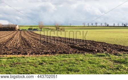 View Over Harvested Agriculture Land And Plowed Soil At The Flemish Countryside, Linter, Belgium