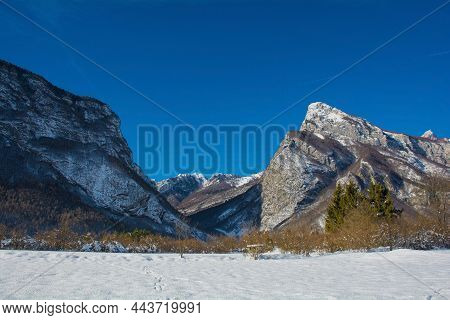 The Snowy Mid-december Landscape Near San Floriano In Pordenone Province, Friuli-venezia Giulia, Nor