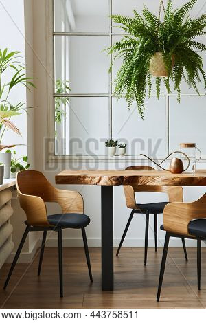 Stylish And Botany Interior Of Dining Room With Design Craft Wooden Table, Chairs, A Lof Of Plants,