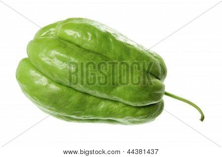 Chayote