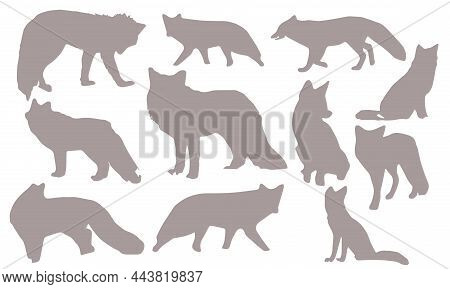 Fox Silhouette. Set. Vector Illustration Isolated On White Background. Fox Silhouettes, Art Vector D