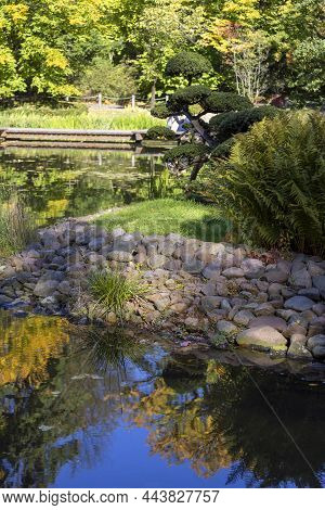 Japanese Garden In  Szczytnicki Park, Exotic Plants, Wroclaw, Poland. The Japanese Garden Was Founde