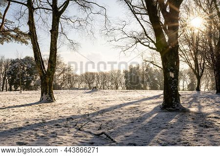 Snow In Swansea, South Wales, The United Kingdom. A Sun Drenched And Snowy Llewellyn Park In Winter.