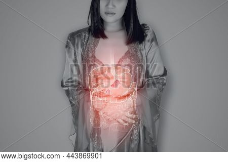 The Illustration Of Internal Organs Is On The Woman's Body Against The Gray Background. A Woman In S