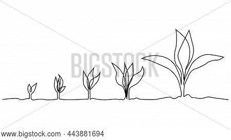 Phase Of Plant Life Continuous One Line Drawing Minimalist Illustration From Seed And Leaves