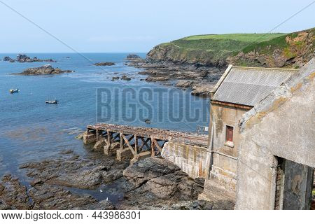 The Lizard In Cornwall