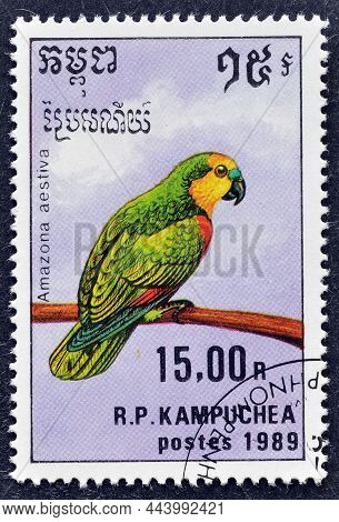 Cancelled Postage Stamp Printed By Cambodia, That Shows Turquoise-fronted Amazon (amazona Aestiva), 