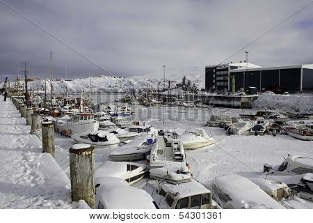 Harbor at wintertime