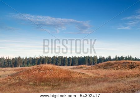 Hills And Forest In Morning Sunlight