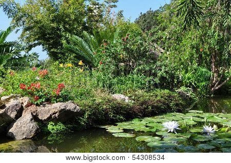 Ischia botanical garden