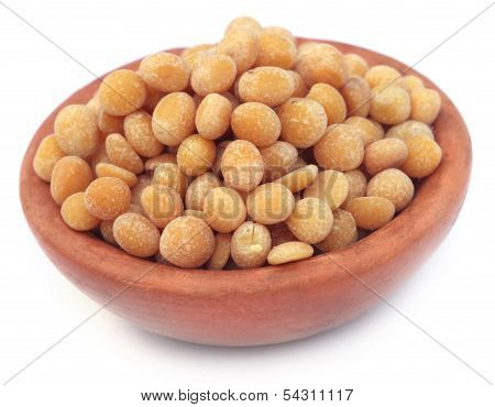 Pigeon Pea