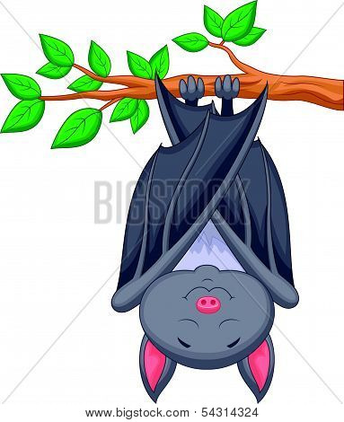 Cartoon bat sleeping