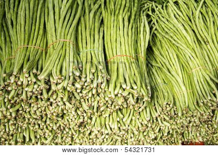 Long Green Beans