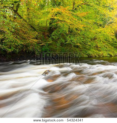 Newbridge Dartmoor Devon