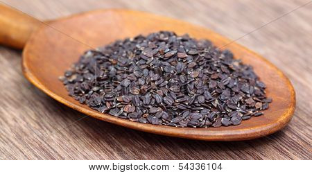Medicinal Basil Seeds