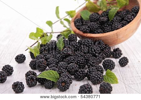 balckberries