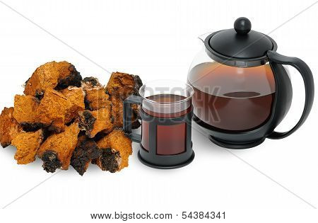 Chaga Mushroom ( Inonotus Obliquus )
