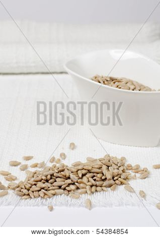 Sunflower Seed