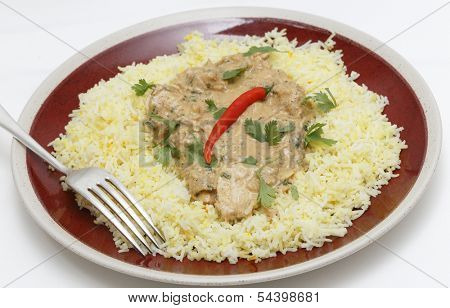 Balti chicken pasanda curry served on a bed of saffron rice, garnished with coriander leaves and a red chilli.