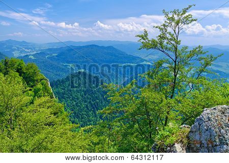 Summer Scenic From The Three Crowns Massif.