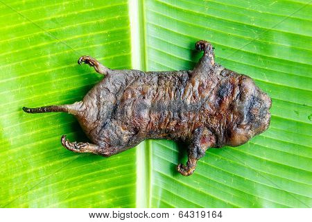 Mole Grilled