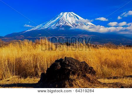 Mount Fuji and volcanic rock in Asagiri Plateau