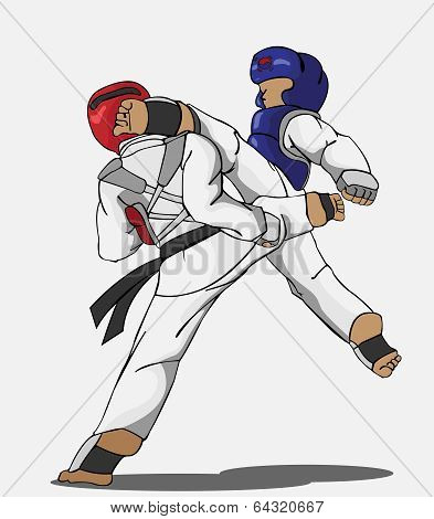 taekwondo martial art