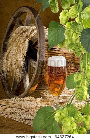 Beer