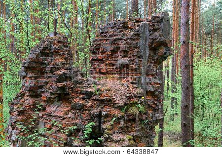 Remnants Of Old And Destroyed Buildings In Forest