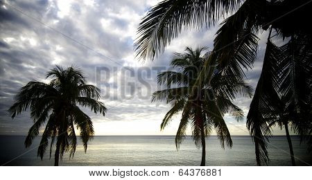 sunset at the beach tropical Maria la Gorda, Guanahacabibes Peninsula in Cuba