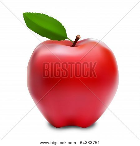 Red vector apple