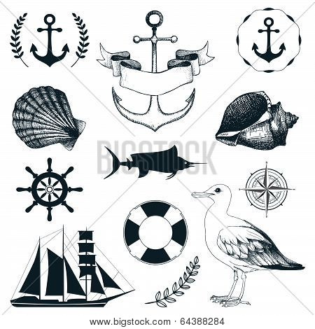 Vector set of decorative sea elements