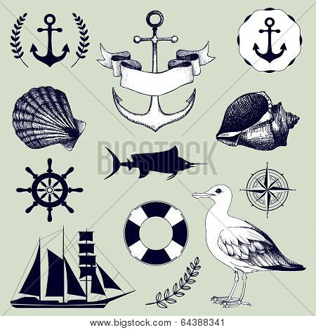 Vector set of decorative sea elements