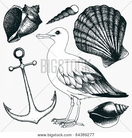 Vector collection of hand drawn sea illustrations