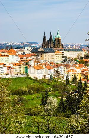 Prague with St. Vitus Cathedral