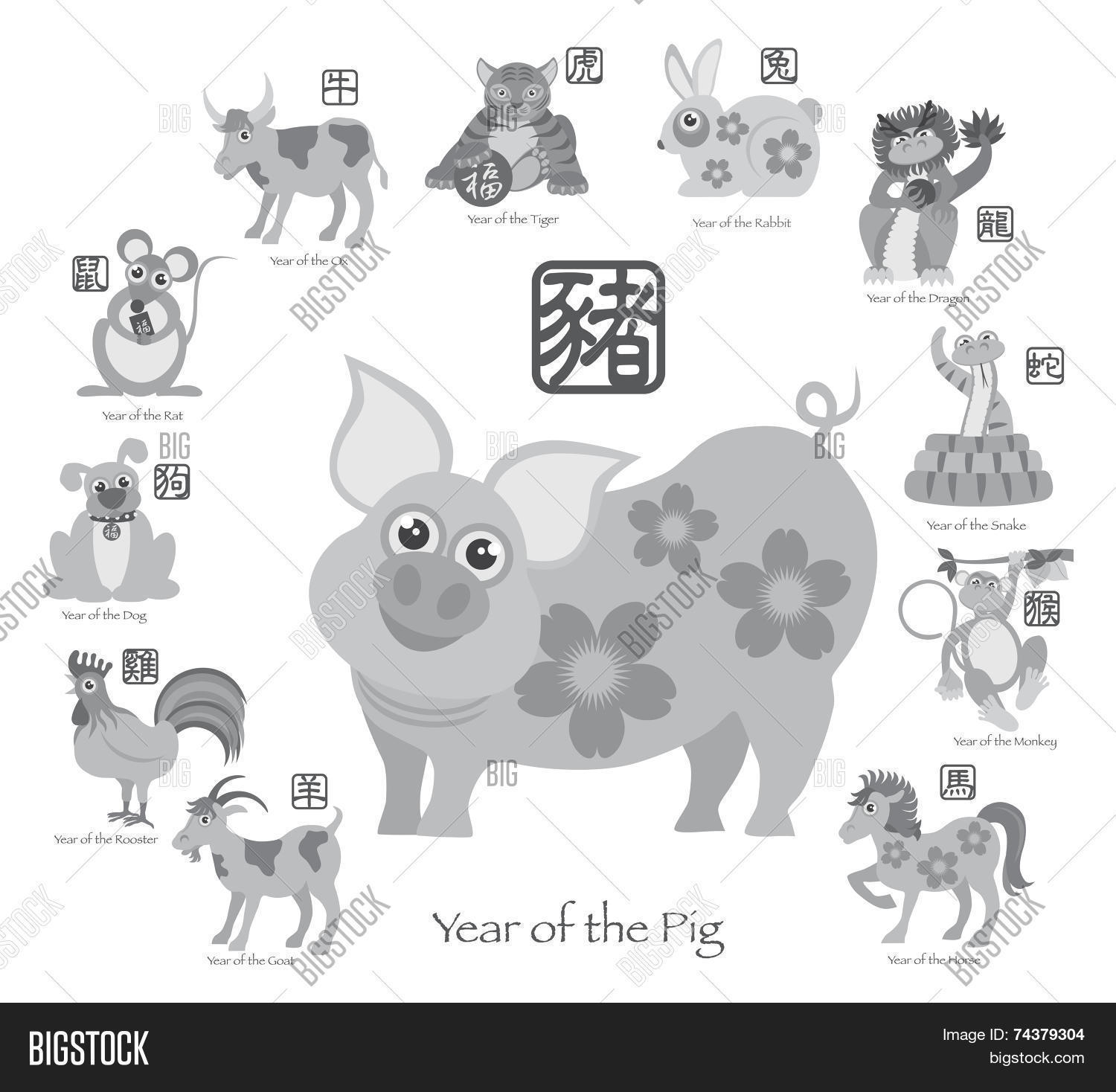 Chinese New Year Pig Vector &amp; Photo (Free Trial) | Bigstock