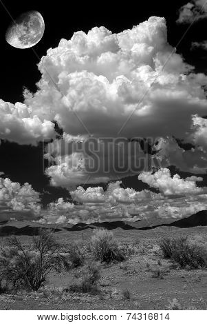Desert Moon
