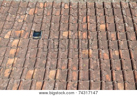 Mildewed Terracotta Roof Tile