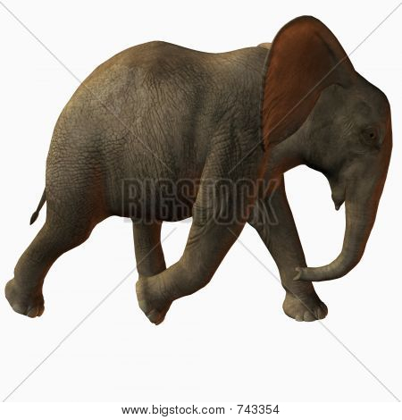Baby Elephant Walk